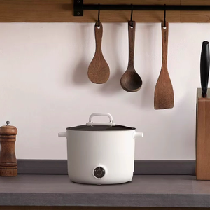 Casserole électrique, poêle à frire antiadhésive de 1,2 L, cuiseur rapide pour nouilles, mini-casserole pour steak, œufs, riz frit, soupe avec réglage de la puissance - Product Image 1