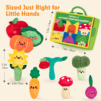 Zhorya 11 pièces Jeu de récolte de carottes Jouet Montessori Fruits Légumes Plantes de jardin Ferme en peluche pour bébés de 6 à 12 mois