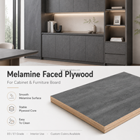Contreplaqué mélaminé gris clair E0/E1 12 mm, couleur unie, âme en peuplier, eucalyptus, pin pour projets de meubles d'intérieur et armoires