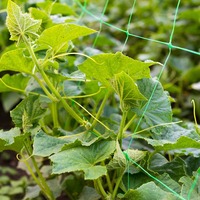 Filet de treillis de soutien pour plantes, en PP haute résistance et stabilisé anti-UV, pour vignes et légumes grimpants, piquets de jardinage et agriculture