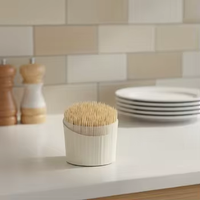 Wegwerp ecologische groothandel 100% natuurlijke bamboe tandenstokers verpakking voor restaurants, catering, hotels en afhaalboxen