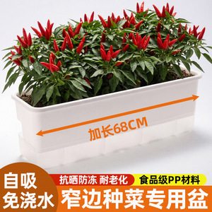 Rectangular Flower Pot Plastic White Gray Self Watering Indoor Outdoor Balcony Plant Container Minimalist Design HF1142 - Product Image 2