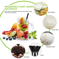 Paille à boire jetable biodégradable en PLA Emballage unique avec logo personnalisé de qualité alimentaire pour le camping