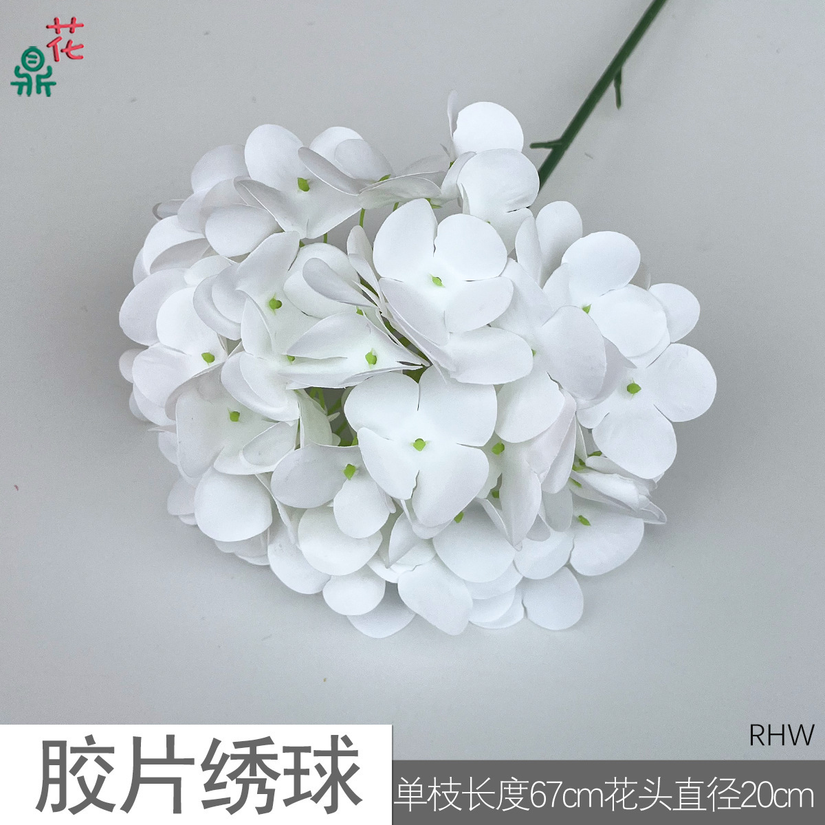 Film Hydrangea RHW White