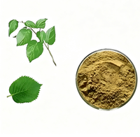 Poudre d'extrait de feuille de mûrier 10:1 de qualité alimentaire, extrait végétal pour complément alimentaire et mélange de boissons