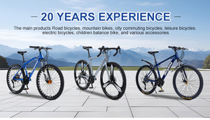 Bicicleta de Montaña <span class=keywords><strong>MTB</strong></span> de Doble Suspensión de 26 Pulgadas, de Acero con Alto Contenido de <span class=keywords><strong>Carbono</strong></span>, de la Mejor Fábrica - Product Image 5