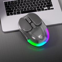 Souris sans fil magnétique silencieuse portable LED transparente BT 2,4 GHz USB pour ordinateur portable, tablette, PC, ordinateur portable avec batterie