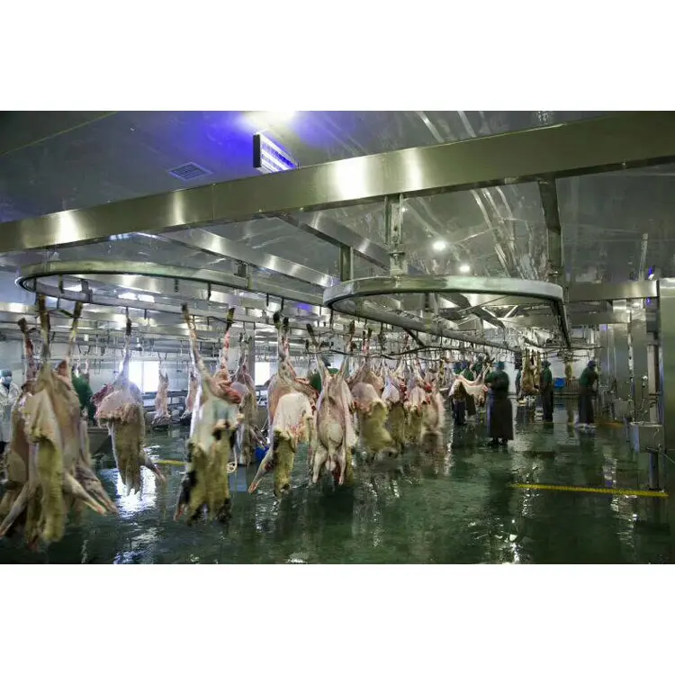 Linha de abattoir kosher, açougueiro de carne de cabra para halal/ovelha