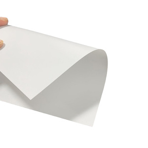 Plaque en PP givré blanc Longzhi 0,33 mm, taille personnalisable, ignifuge, matériau pour diffuseur et abat-jour - Product Image 2