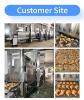 Máquina de Cocción al Vapor y Horneado, Horno Túnel para Galletas, Equipo para Asar, Grillar y Ahumar