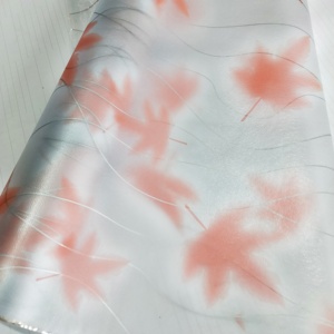 Anolly Self Adhesive <strong>Window</strong> <strong>Film</strong> <strong>Privacy</strong> Glass <strong>Film</strong> - Product Image 4