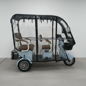 Motocicleta de 3 Ruedas con Techo para Adultos, Sin Batería, Triciclo de 800w de Potencia, Gran Venta - Product Image 3