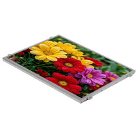 Écran tactile optionnel ; Écran LCD Innolux 104 pouces 1024768 LVDS IPS haute luminosité à large plage de température pour applications automobiles et médicales