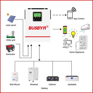 Busbyr 1kw off-רשת סולארי הטובה ביותר בעולם יצרנית הממיר הסולארי הטובה בעולם - Product Image 6