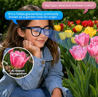 Lunettes intelligentes AR avec traducteur IA, caméra, enregistreur vocal, enregistrement vidéo 720P, audio Bluetooth
