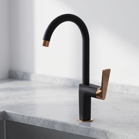 Robinet de cuisine moderne noir en laiton à poser sur le plan, style contemporain, pour éviers de cuisine - Vente en gros