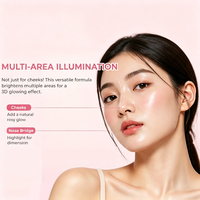 Palette 2-en-1 de fard à joues et illuminateur lumineux personnalisé avec logo, longue tenue, waterproof, effet scintillant, marque privée