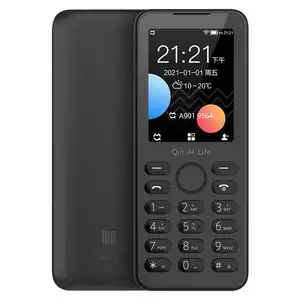 2021新款印度运费仅10美元简单双sim卡QinF21S 4g功能手机