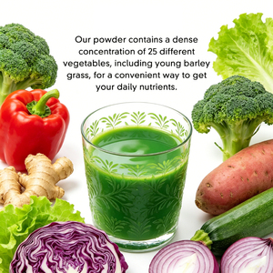 Poudre enzymatique probiotique de légumes verts pour adultes OEM/ODM – Soutien biologique pour la flore intestinale et la détoxification quotidienne, idéale pour les régimes riches et gras - Product Image 3
