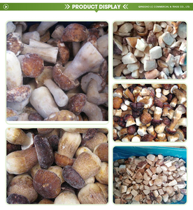 Bán buôn số lượng lớn hữu cơ đông khô <span class=keywords><strong>boletus</strong></span> <span class=keywords><strong>edulis</strong></span> Nấm Tươi <span class=keywords><strong>iqf</strong></span> <span class=keywords><strong>boletus</strong></span> <span class=keywords><strong>edulis</strong></span> - Product Image 6