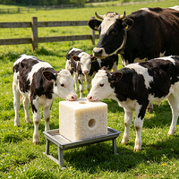Bloc de sel compressé blanc pour bétail, sel à lécher aux oligo-éléments pour l'alimentation des vaches, des chèvres et des chevaux