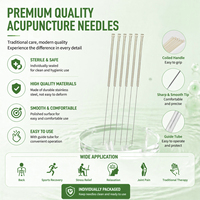 Aiguilles d'acupuncture stériles jetables à manche argenté pour usage corporel, certifiées CE Classe II