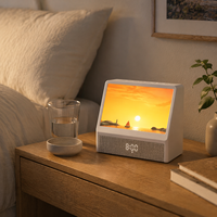 Réveil Lumineux Simulateur d'Aube et de Coucher du Soleil avec Haut-Parleur, Lampe de Chevet à Luminosité Progressive pour Chambre à Coucher