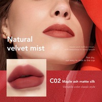 Rouge à lèvres liquide mat de luxe populaire en gros, logo personnalisé, formule minérale imperméable 24 heures, approvisionnement ODM, poids net, MSDS