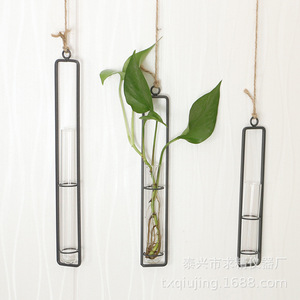 Wall Vase Glass Hydroponic Tube Cylinder Metal <b>Frame</b> Hanging Plant Display Modern Farmhouse Style - Product Image 1