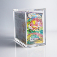 Boîte de présentation YAGELI en acrylique de qualité supérieure avec couvercle magnétique, personnalisable et durable, 100 pièces, fabriquée en Chine