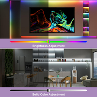 Contrôleur LED IoT RGB ESann SP548E 3 canaux PWM avec application, Bluetooth, musique, Alexa, Google Home, télécommande RF, contrôle vocal, gradation 0-100%, charge maximale 120W