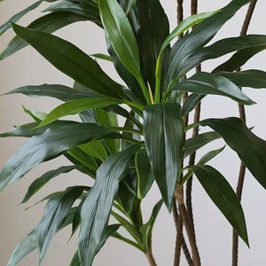 Moderna pianta artificiale sempreverde per interni 90cm/180cm finto velluto verde in vaso in legno brasiliano simulato decorazione d'interni-149 - Product Image 2