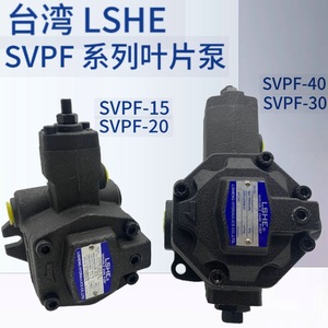 Pompe à aubes LSHE SVPF 15 20 30 40 55 70, pompe à huile hydraulique pour machines industrielles - Product Image 3