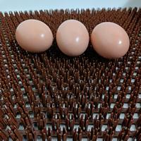 Tapis de nidification pour poules à six aiguilles, pour boîtes de nidification, tapis à œufs pour poulets, tapis de poulailler en ferme avicole
