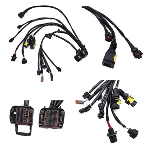 Custom for automotive cable with wire harness and ECU automotive heater cable and automotive wiring harness