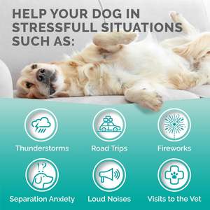 Suplemento masticable calmante orgánico OEM para mascotas, ayuda a controlar el estrés y promueve la relajación, alivio de la ansiedad para perros con melatonina - Product Image 2