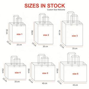 Bolsa de compras no tejida Pp con sellado térmico con logotipo personalizado bolsa de tela no tejida Pla reutilizable de 80 Gsm - Product Image 5