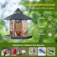 Mangeoires à oiseaux Petdom pour l'extérieur suspendues 5.5LBS Mangeoire à oiseaux sauvages de grande capacité Mangeoires à oiseaux suspendues à l'épreuve des écureuils pour l'extérieur
