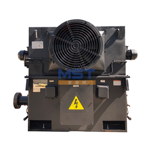 มอเตอร์ไฟฟ้าแรงสูง 6.6KV 1250kW แบบกำหนดเอง มอเตอร์ไฟฟ้ากระแสสลับ มอเตอร์แบบอะซิงโครนัสสามเฟส - Product Image 5