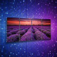 Pantalla LED de Alquiler Topvision P2.6 P3.91 para Conciertos y Escenarios con Sistema Novastar, Gabinete de 500x1000, Pantalla de Alta Frecuencia de Actualización