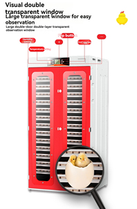 Mới Đến Điện Sưởi Ấm Ống HHD Trung Quốc Màu Đỏ 2000 Trứng Gà Mini Gà Vịt Chim Cút Chim Tự Động Gia Cầm Trứng Lồng Ấp - Product Image 6