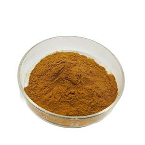 Polvo de extracto de Radix Angelicae Pubescentis Extracto de Angelica Radix de alta calidad - Product Image 2