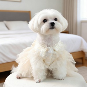 Vestido de tul estilo princesa para mascotas, estilo boda, para perros pequeños y gatos, falda de poliéster para las cuatro estaciones YF20260403 - Product Image 4