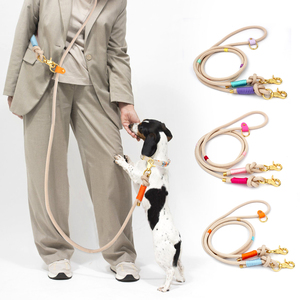 Поводок для дрессировки собак и кошек: классический, мягкий, полосатый, из нейлона, ручной работы, с выдвижной лентой, прямо с фабрики, на заказ, класса люкс - Product Image 1