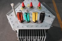 Bobina de Núcleo de Liga Amorfa de Baixa Resistência Wanbo-80 Imersa em Óleo com Múltiplas Enrolações 50kVA-2500kVA 10kV/11kV/33kV 400V Trifásica 50/60Hz