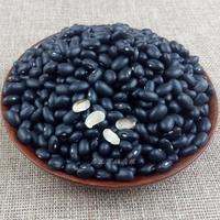Offre Spéciale 500-550grains haricots Origine Chine Gros Haricots Noirs