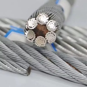 Câble en acier inoxydable compacté et serti, câble plat en acier inoxydable 7x7 7x19 8mm 10mm 12mm pour <span class=keywords><strong>toiture</strong></span> et <span class=keywords><strong>ligne</strong></span> <span class=keywords><strong>de</strong></span> <span class=keywords><strong>vie</strong></span> verticale - Product Image 2