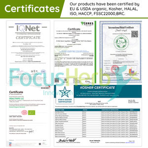 Prix d'usine FocusHerb Poudre d'extrait d'écorce de cannelle 3% polyphénols - Product Image 4