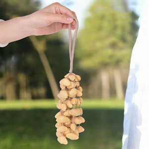 Carillon à main en coquille de graines naturelles Kenari Panji Juju Tano Chacha Salin Style Options, sonnette en coquille de noix pour bain sonore ASMR - Product Image 3