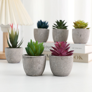 ที่ได้ - Product Image 5